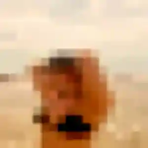 plan cul à Preuschdorf : photo de Élise, 40 ans - accès libre