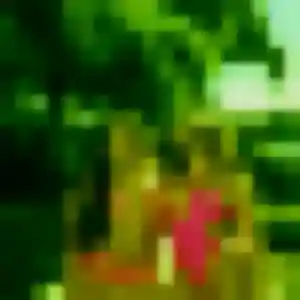 Astan, 37 ans, connectée à Primelin pour une rencontre coquine