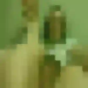 Photo de Noëlla à Provin (33 ans) - plan cul gratuit