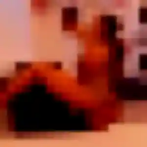 Neema, 30 ans, connectée à Prudhomat pour une rencontre coquine