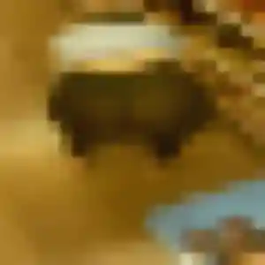 Soraya (38 ans) à Puget-Ville attend un plan cul maintenant