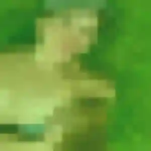 Jolie Xavière, 33 ans à Puimoisson - découvrir son profil