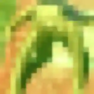 Contacte Muthoni, 44 ans à Pujo-le-Plan gratuitement