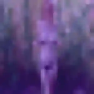 Muthoni, femme de 39 ans cherche plan cul à Pujo