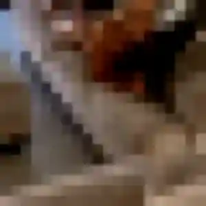 Photo exclusive de Oumou Kalsoum, 24 ans à Puttelange-aux-Lacs - plan discret