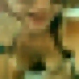 Divine, fille de 24 ans propose plan cul à Puygouzon