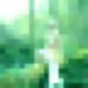 Viviane, femme de 31 ans veut plan cul à Puylaroque