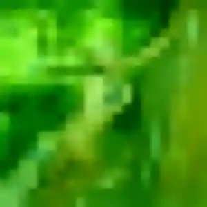 Profil de Félicité à Puylaurens (39 ans) - plan cul anonyme