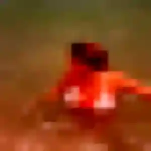 Photo sexy de Jumoke, 30 ans à Puylaurens - rencontre coquine