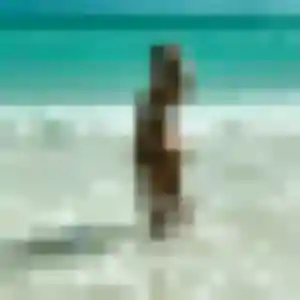 Honorine, femme de 38 ans cherche plan cul à Quevauvillers