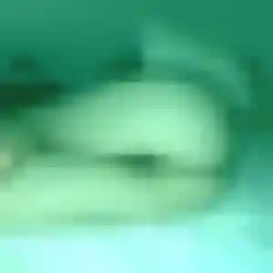 Stéphanie, 34 ans, connectée à Quiestède pour un plan cul