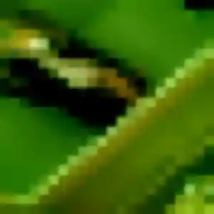 plan cul à Quincy : photo de Amenan, 45 ans - sans engagement