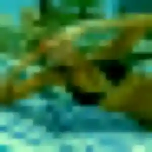 Pauline de Quittebeuf, 42 ans - plan cul sans lendemain