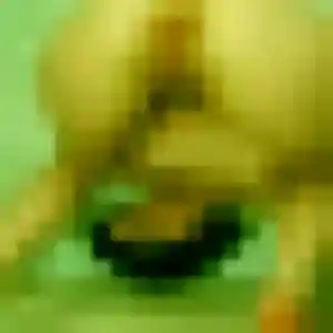 Photo sexy de Keza, 38 ans à Rauville-la-Bigot - plan discret