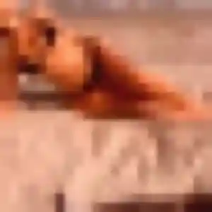 Photo perso de Roxane, 35 ans à Réguisheim - plan discret