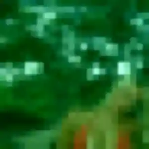 Blessing (45 ans) à Rémelfing attend un plan cul maintenant