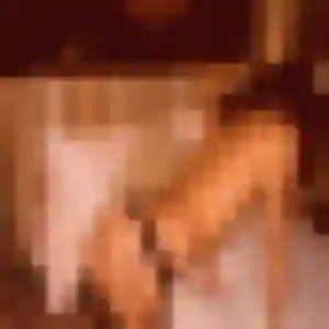 Contacte Monique, 29 ans à Remoulins en privé