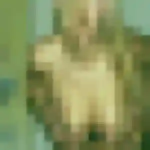 Profil de Lina à Renage (36 ans) - plan cul sans inscription