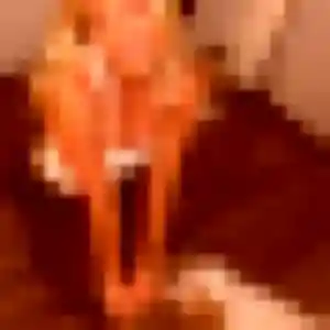 Photo perso de Suzanne, 44 ans à Rétaud - rencontre sans lendemain