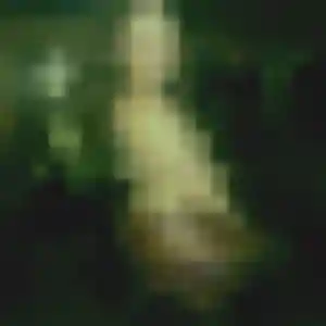 Découvre Malaika, 45 ans à Retiers en t'inscrivant