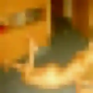 Omolara, femme de 43 ans veut plan cul à Revel