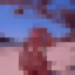 Contacte Héloïse, 36 ans à Reynès gratuitement