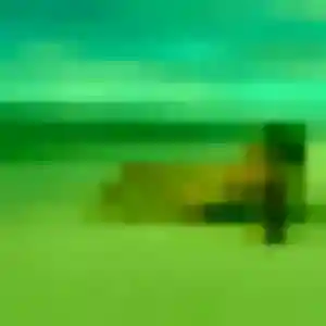 Photo de Karima à Ribérac (41 ans) - plan cul discret