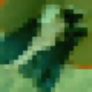 plan cul à Ribérac : photo de Ngoné, 28 ans - accès libre