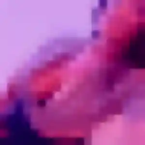 Découvre Naomie, 38 ans à Riedseltz en t'inscrivant