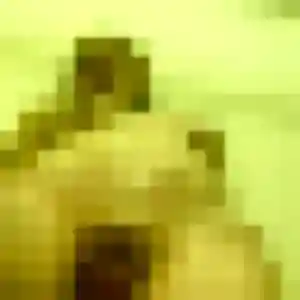 Contacte Lina, 37 ans à Rions en privé