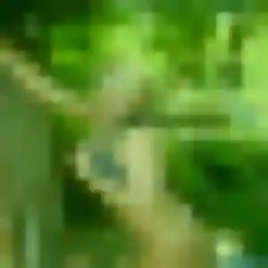 Lou, 30 ans, disponible à Rivedoux-Plage pour un plan cul