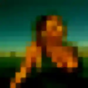 Photo de Karima à Rives-d'Autise (43 ans) - plan cul anonyme