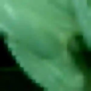 Photo de Lou à Rivière-Saas-et-Gourby (36 ans) - plan cul gratuit