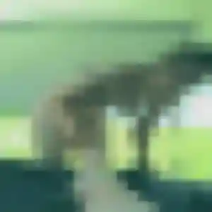 Photo de Sandrine à Rocamadour (37 ans) - plan cul gratuit