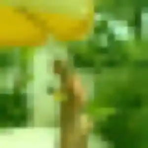 Jumoke, femme de 29 ans propose plan cul à Roche-lez-Beaupré