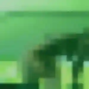 plan cul à Rochetrejoux : photo de Precious, 35 ans - inscription gratuite