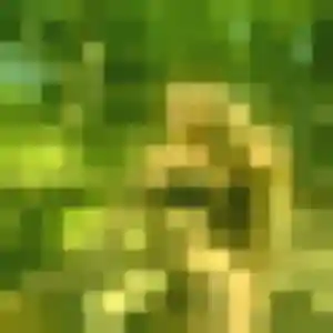 Belle Rosalie, 33 ans à Rodès - la contacter