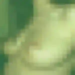 Photo sexy de Salma, 35 ans à Rogny-les-Sept-Écluses - rencontre sans lendemain