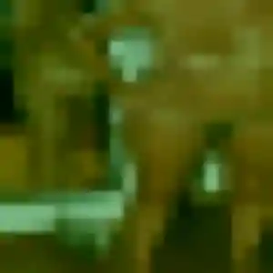 Rejoins Peace, 22 ans à Rohrwiller en privé