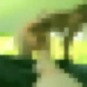 Naomie (30 ans) à Rosbruck propose un plan cul ce soir