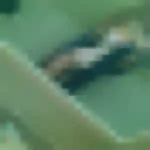 Jolie Fatoumata, 29 ans à Rosières-en-Santerre - la contacter
