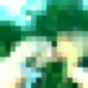 Promise, 39 ans, cherche un plan cul à Rosult