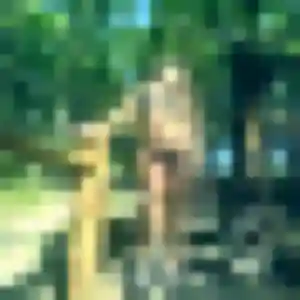 Rejoins Béatrice, 40 ans à Roussillon gratuitement