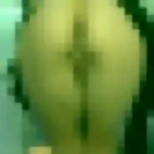 Arame, 37 ans, connectée à Rouy pour un plan cul