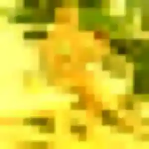 Photo exclusive de Grâce, 43 ans à Rubempré - rencontre coquine