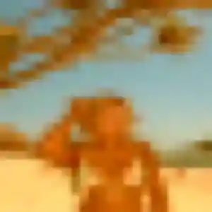 Rencontre Linda, 45 ans à Ruffec gratuitement