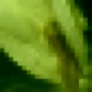 Profil de Hélène à Rustrel (36 ans) - plan cul discret