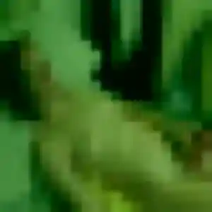 Daphné, fille de 37 ans veut plan cul à Sainghin-en-Weppes