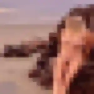 Belle Astan, 36 ans à Sainneville - voir sa photo