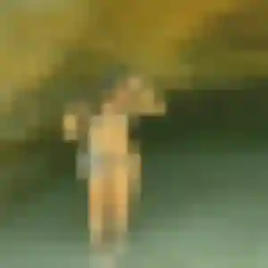 Photo privée de Ebele, 44 ans à Saint-Aignan-Grandlieu - rencontre coquine